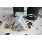 Light Blue Organza Favour Bag